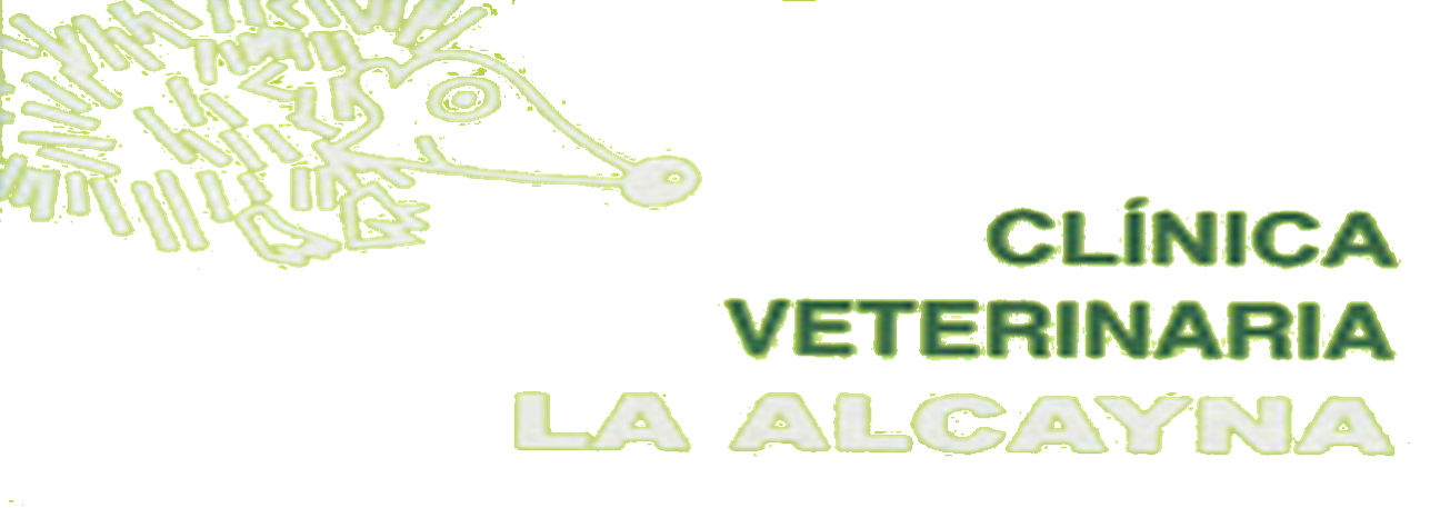 Clinica-Veterinaria-La-Alcayna